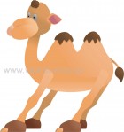  Καμήλα